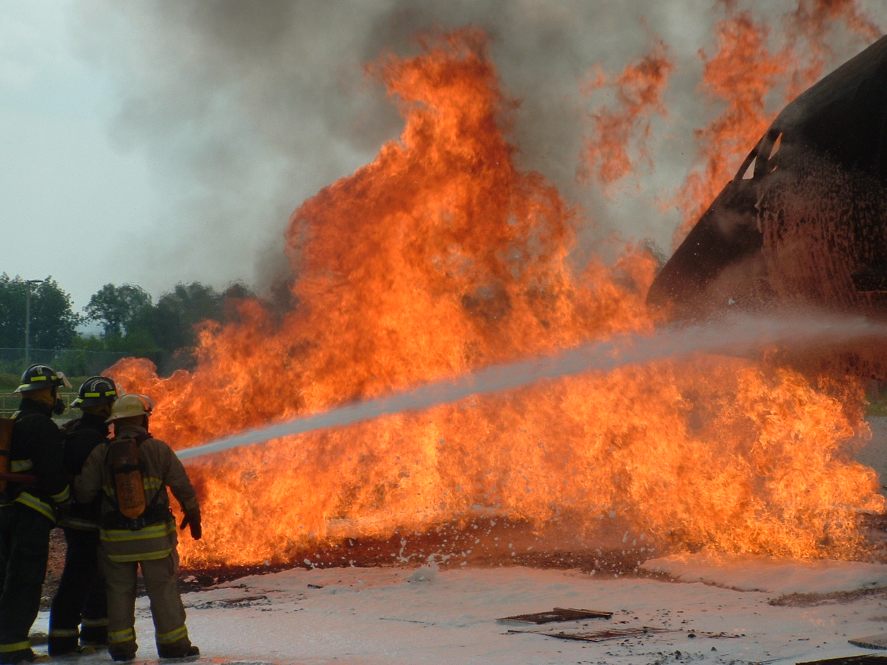 Firewise Training and Consulting